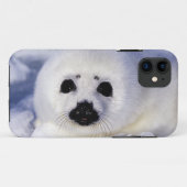 Coques Case-Mate iPhone Bébé phoque à harpe glace golfe du Saint-Laurent, (Dos (Horizontal))