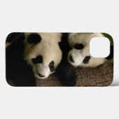 Coques Case-Mate iPhone Bébés de panda géant (Ailuropoda melanoleuca) 2 (Verso (horizontal))