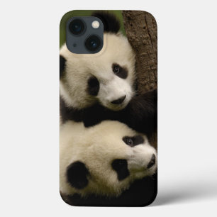Case-Mate iPhone Case Bébés de panda géant (Ailuropoda melanoleuca) 2