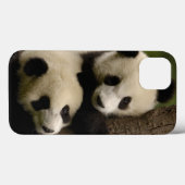 Coques Case-Mate iPhone Bébés de panda géant (Ailuropoda melanoleuca) 2 (Verso (horizontal))