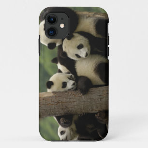 Etui iPhone Case-Mate Bébés panda géant Ailuropoda melanoleuca)