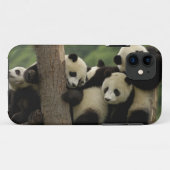 Coques Case-Mate iPhone Bébés panda géant Ailuropoda melanoleuca) (Dos (Horizontal))