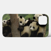 Coques Case-Mate iPhone Bébés panda géant Ailuropoda melanoleuca) (Verso (horizontal))
