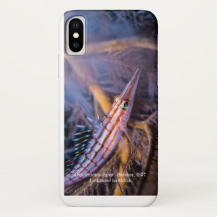 Coques Pour iPhone Bécasseau