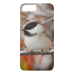 Coque iPhone 8 Plus/7 Plus Bécasseau noir adulte en neige