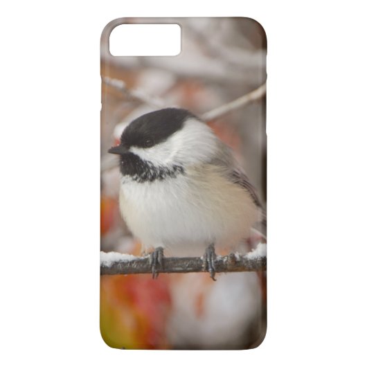 Coques Case-Mate iPhone Bécasseau noir adulte en neige (Dos)