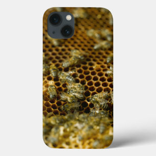Coques Pour iPhone Bees In Hive, Western Cape, South Africa