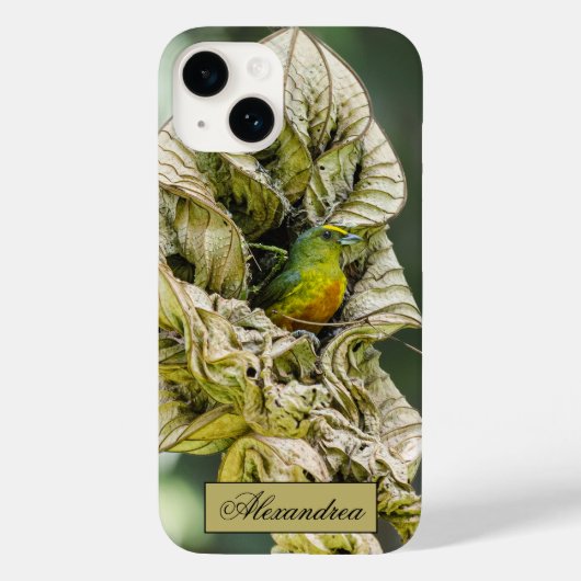 Coques Case-Mate iPhone Bélize Olive Euphonia Bird Photographie (Verso)