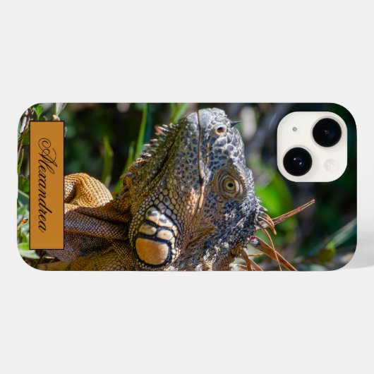 Coques Case-Mate iPhone Belize Orange Iguana Lizard Photographie (Verso (horizontal))