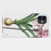 Coques Case-Mate iPhone Belladone d'amaryllis, de "Les Liliacees", engrav (Dos (Horizontal))