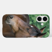 Coques Case-Mate iPhone Belle Baie Cheval Face (Verso (horizontal))