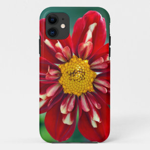 Coque iPhone 11 Belle boîte de téléphone d'impression dahlia rouge
