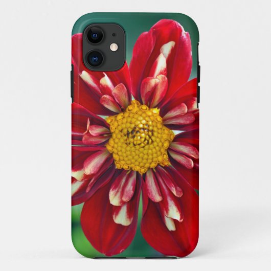 Coques Case-Mate iPhone Belle boîte de téléphone d'impression dahlia rouge (Dos)