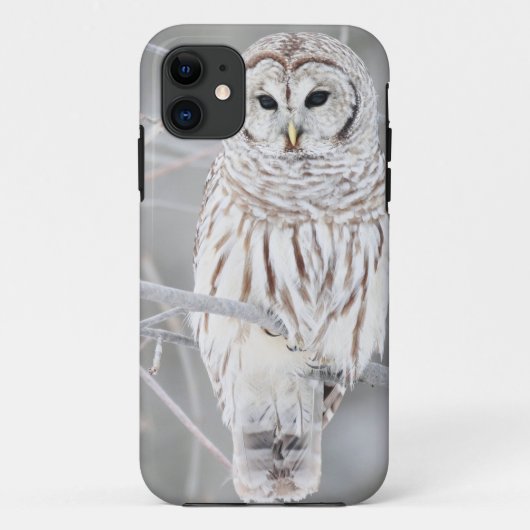 Coques Case-Mate iPhone Belle conception blanche de hibou de neige (Dos)