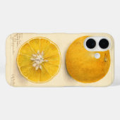 Coques Case-Mate iPhone Belle Oeuvre Orange (Verso (horizontal))
