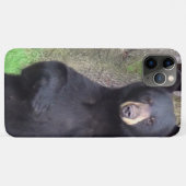 Coques Case-Mate iPhone Belle Ours Noir (Dos (Horizontal))