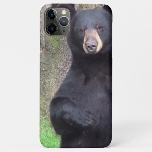 Coques Case-Mate iPhone Belle Ours Noir (Dos)