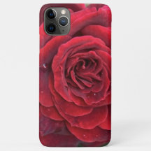 Belle rose rouge iphone 11 Pro Max à peine là
