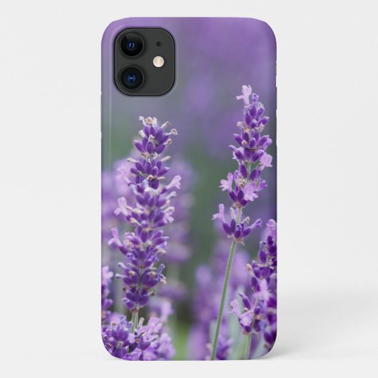 Coques Case-Mate iPhone Belles fleurs de lavande en fleurs (Dos)