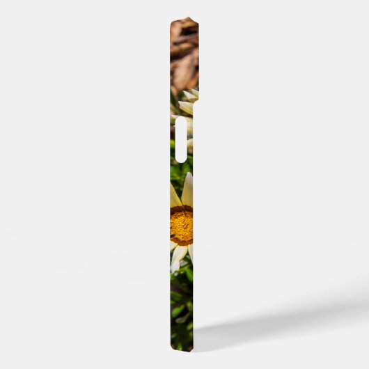 Coques Case-Mate iPhone Belles fleurs jaunes de Gazania dans le jardin (Verso / Droite)
