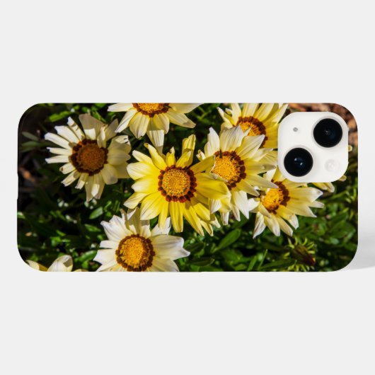 Coques Case-Mate iPhone Belles fleurs jaunes de Gazania dans le jardin (Verso (horizontal))
