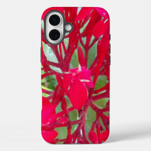 Coques iPhone 16 Plus Belles fleurs rouges superbes