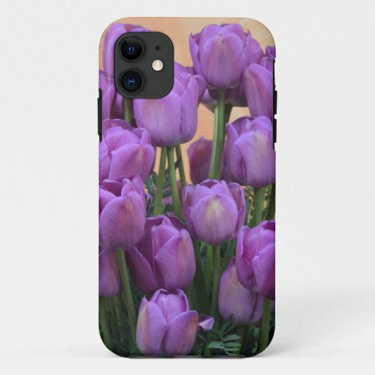 Coques Case-Mate iPhone Belles tulipes pourpres de ressort (Dos)