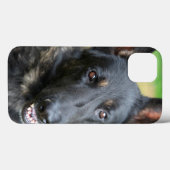 Coques Case-Mate iPhone Berger allemand (Verso (horizontal))