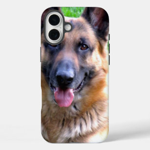 Coques iPhone 16 Plus Berger allemand