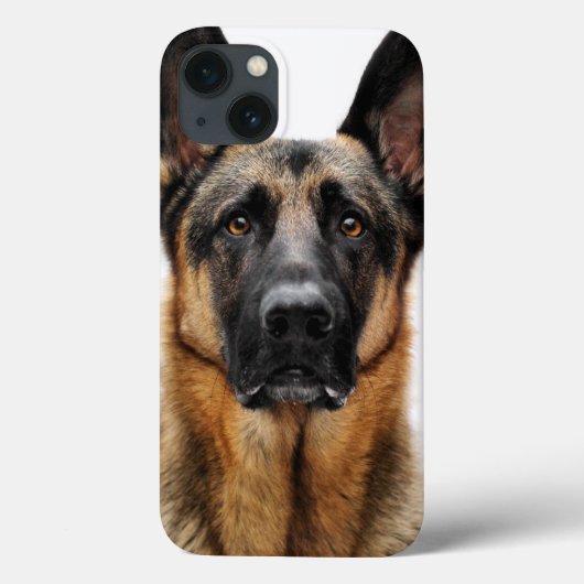 Coques Case-Mate iPhone Berger allemand assis (Verso)