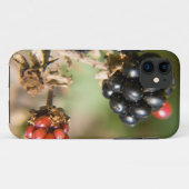 Coques Case-Mate iPhone Berries d'automne (Dos (Horizontal))