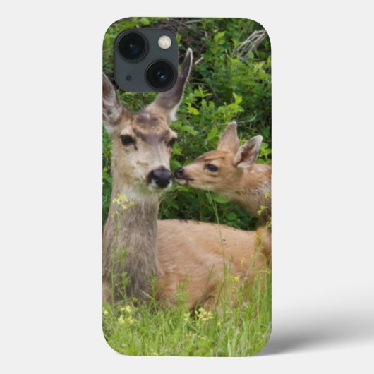 Coques Case-Mate iPhone Biche de cerf mulet avec faon (Verso)