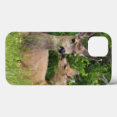Coques Case-Mate iPhone Biche de cerf mulet avec faon (Verso (horizontal))