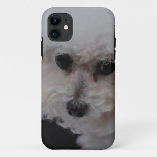 Coques Pour iPhone Bichon doux Frise