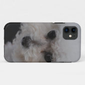 Coques Case-Mate iPhone Bichon doux Frise (Dos (Horizontal))
