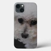 Coques Case-Mate iPhone Bichon doux Frise (Verso)