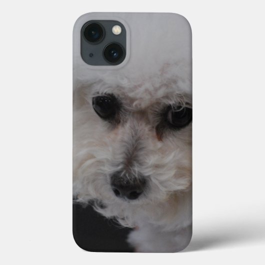 Coques Case-Mate iPhone Bichon doux Frise (Verso)