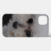 Coques Case-Mate iPhone Bichon doux Frise (Verso (horizontal))