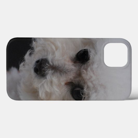 Coques Case-Mate iPhone Bichon doux Frise (Verso (horizontal))