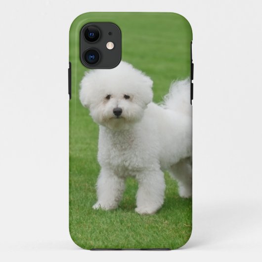 Coques Case-Mate iPhone Bichon Frise (Dos)
