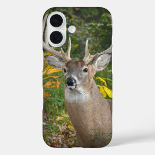 Coques iPhone 16 Big Buck In Woods
