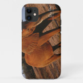 Coques Case-Mate iPhone Big Red (Dos)