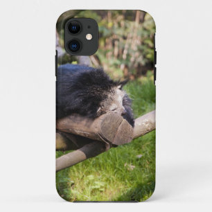 Etui iPhone Case-Mate Binturong endormi