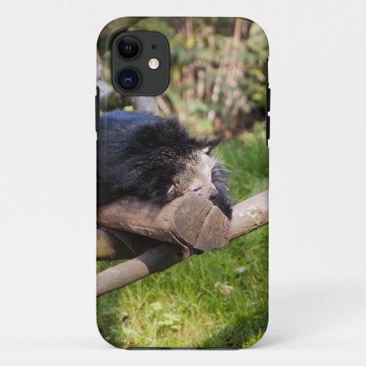 Coques Case-Mate iPhone Binturong endormi (Dos)