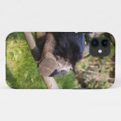 Coques Case-Mate iPhone Binturong endormi (Dos (Horizontal))