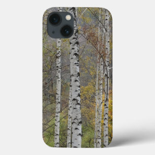 Case-Mate iPhone Case Birch forest Photo Apple iPhone 8/7, Tough Xtreme