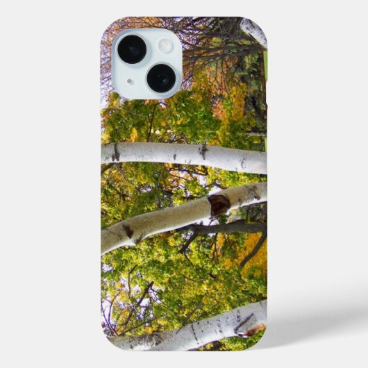 Coques Case-Mate iPhone Birch Tree in the Park (Verso)