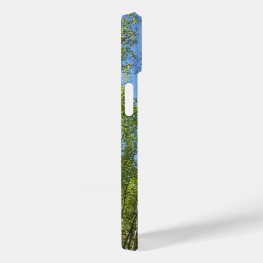Coques Case-Mate iPhone Birch Trees d'été à Rocky Mountain (Verso / Droite)