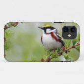 Coques Case-Mate iPhone BIRD grey_iphone (Dos (Horizontal))