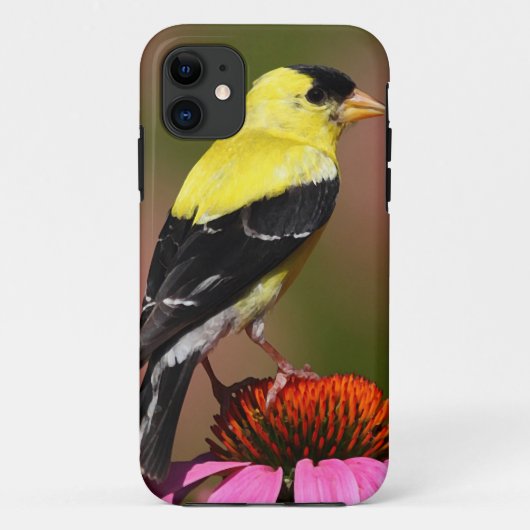 Coques Case-Mate iPhone BIRD yellow_iphone (Dos)
